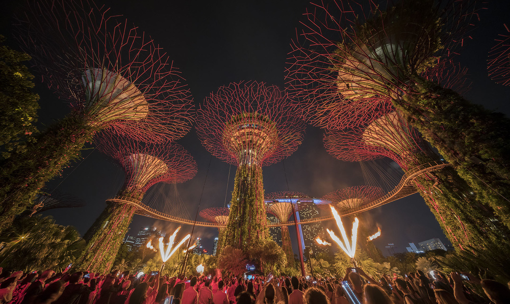 Supertrees feature in global expo about urban nature